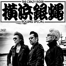 T.C.R.横浜銀蝿R.S.
